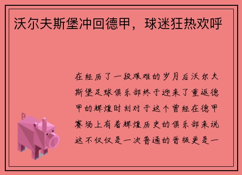 沃尔夫斯堡冲回德甲，球迷狂热欢呼